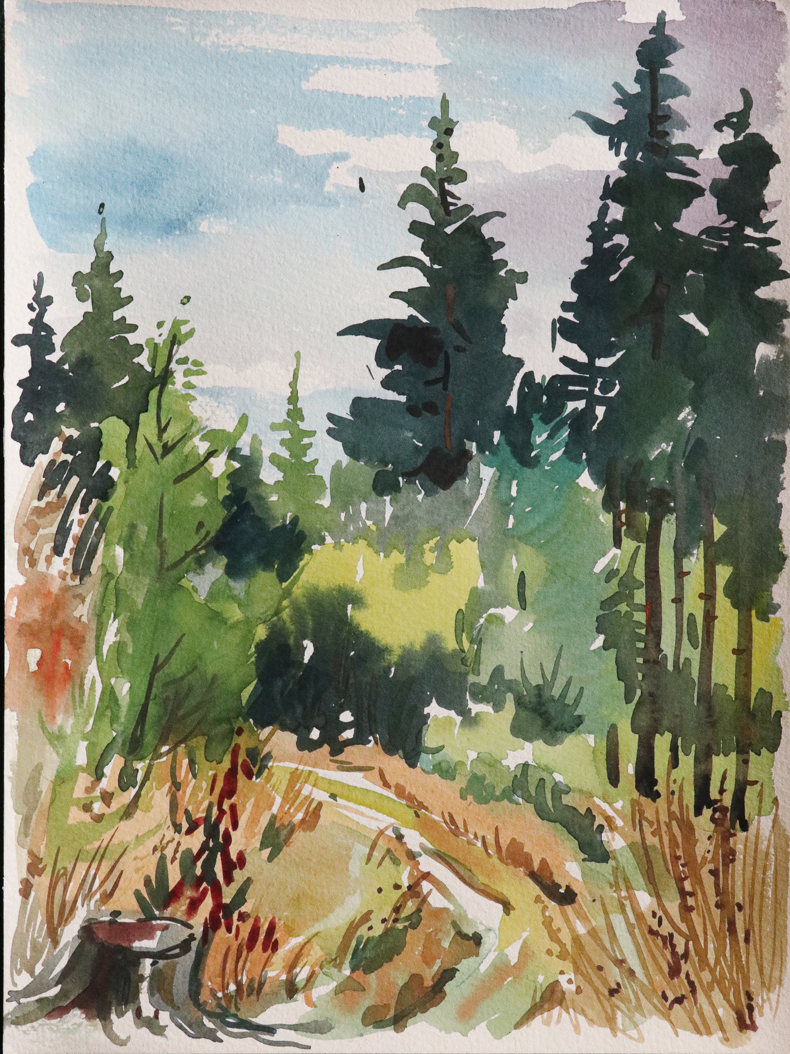 Waldstück